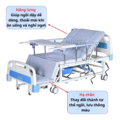 Chức năng tay quay thứ nhất của giường y tế cho bệnh nhân NIKITA DCN06